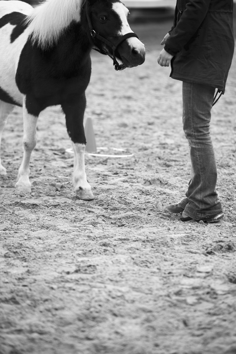 Catja Baumann Coaching