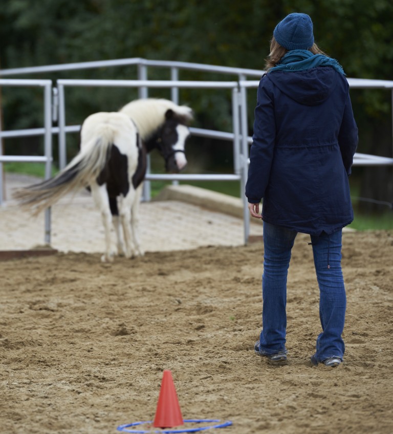Catja Baumann Coaching