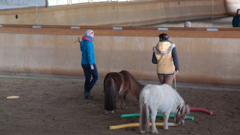 Catja Baumann Coaching
