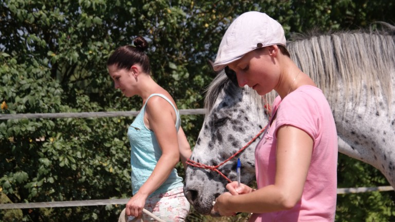 Catja Baumann Coaching