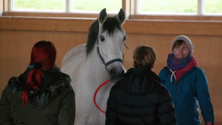 Catja Baumann Coaching