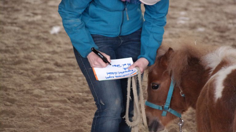 Catja Baumann Coaching