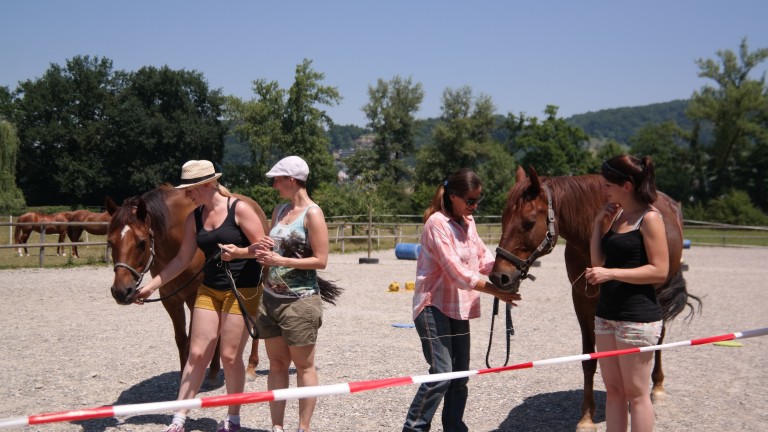Catja Baumann Coaching
