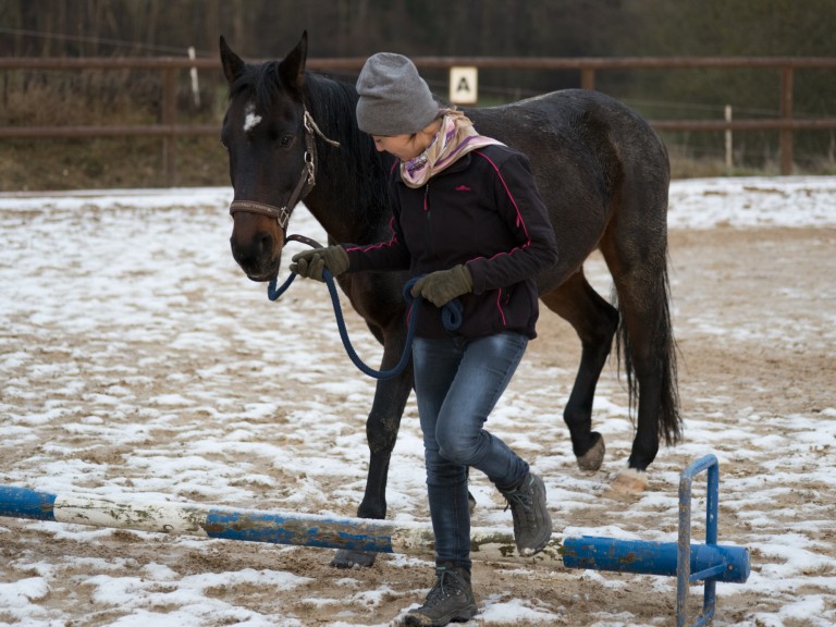 Catja Baumann Coaching