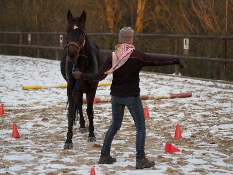 Catja Baumann Coaching