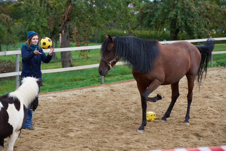 Catja Baumann Coaching